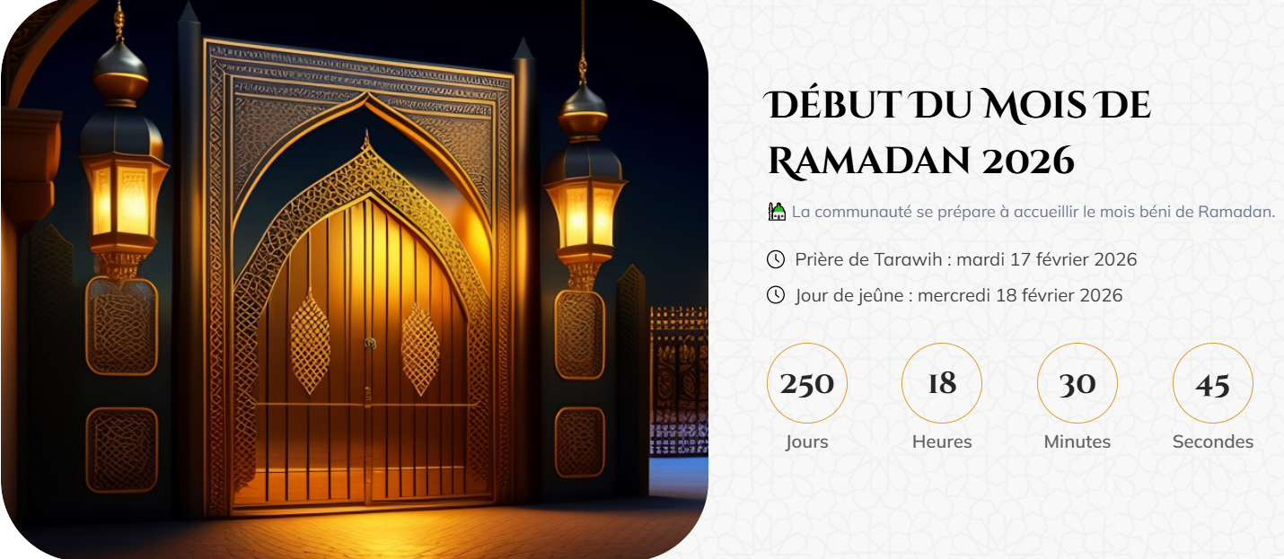 Dernek360 - Gestion des annonces